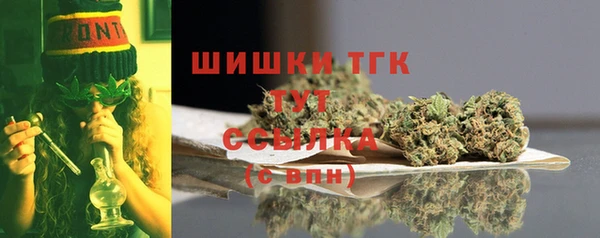 ешки Корсаков