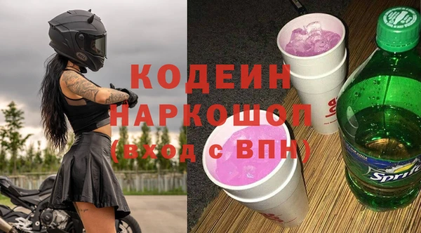 ешки Корсаков