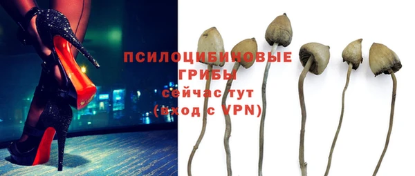 синтетический гашиш Коряжма