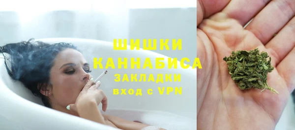 ешки Корсаков
