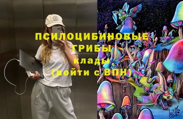 ешки Корсаков