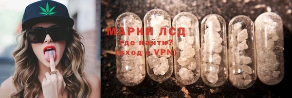 ешки Корсаков